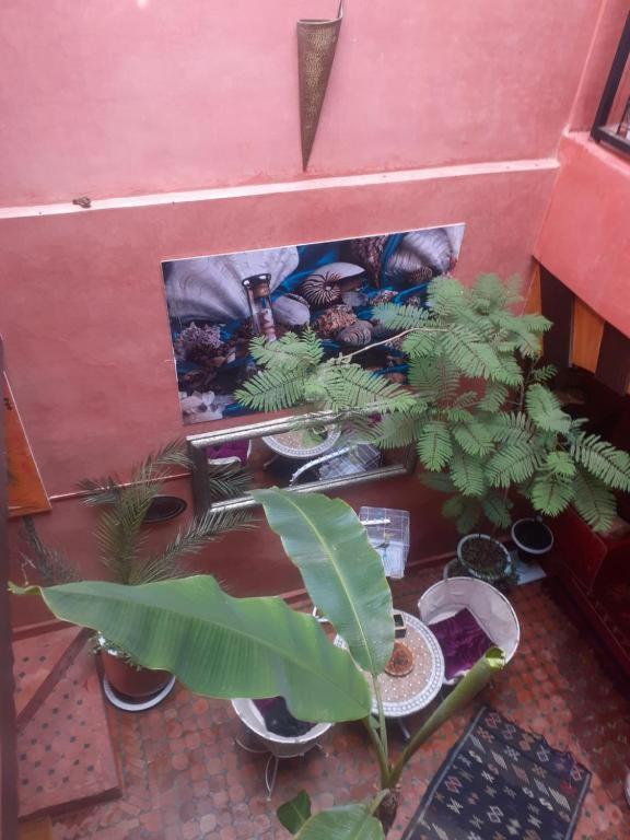 Riad Hanafi Marrakesh Exterior foto