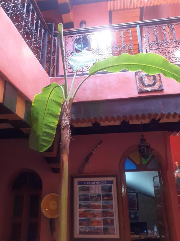 Riad Hanafi Marrakesh Exterior foto